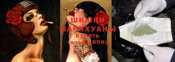 соль ск Белокуриха
