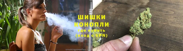 индика Ступино