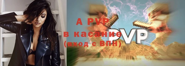 соль ск Белокуриха